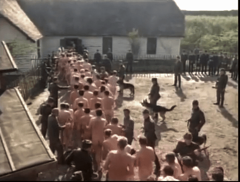 vlcsnap-2014-03-28-20h28m27s136